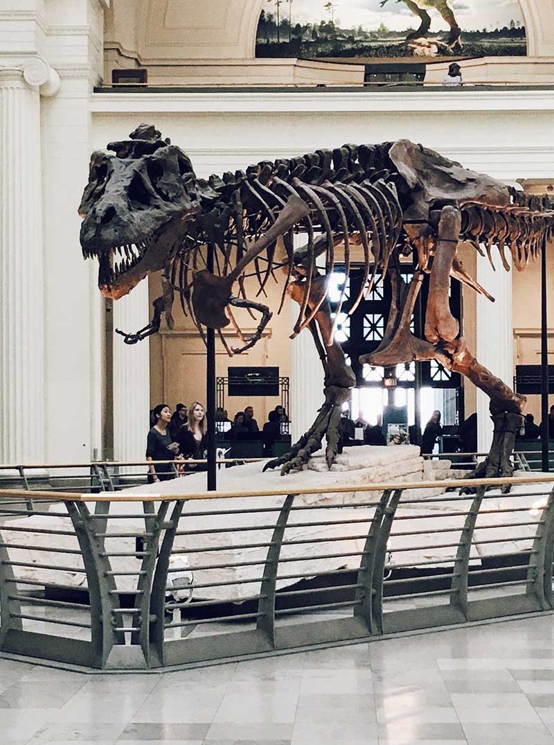 Art conservation and restoration in india